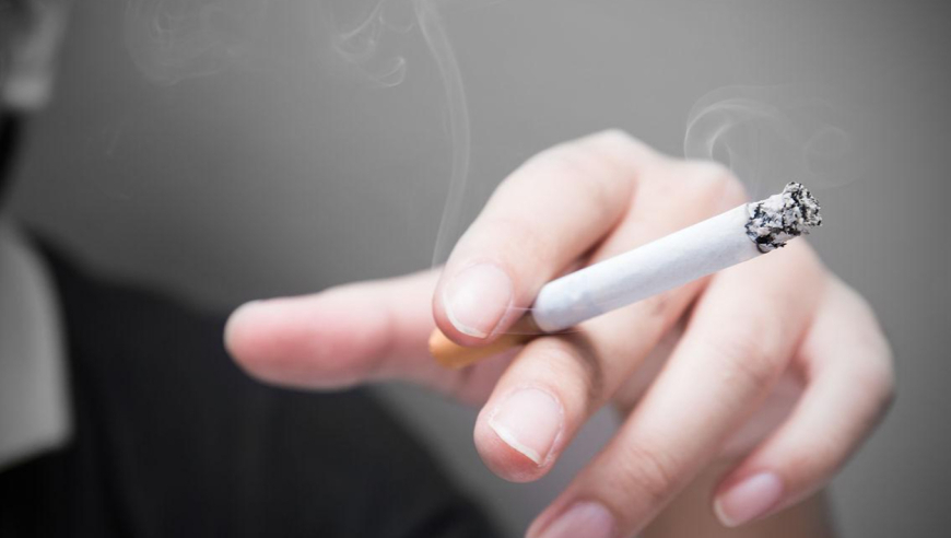 何凯文实际成绩71分,四肖八码精准资料期期免费,决策资料解释落实_投资版V6.42